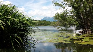 Concours photos au bord du lac