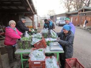 Préparation des sachets de mâche